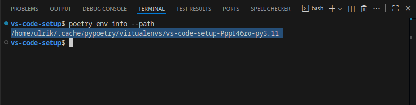 VS Code Setup for Python - NFDI4Immuno Docs